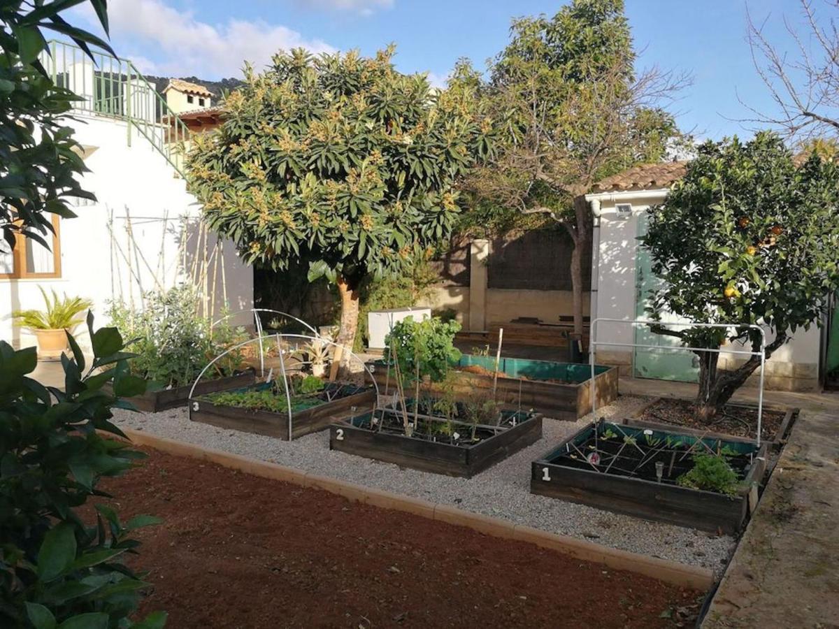 Lliris 29 * Palmanyola